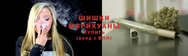 дживик Карпинск