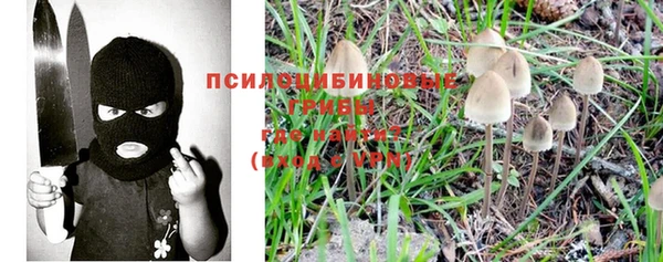 дживик Карпинск