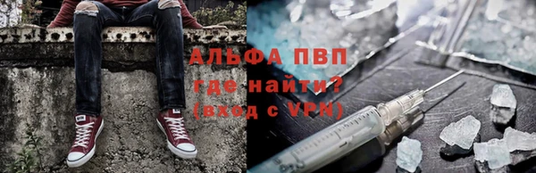 дживик Карпинск