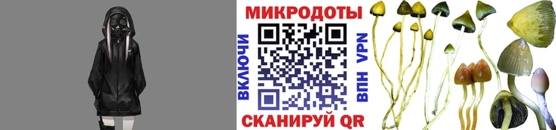 Псилоцибиновые грибы Cubensis  Купить где  Зеленодольск 